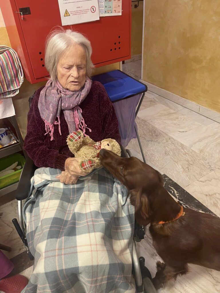 canisterapie domov pro seniory