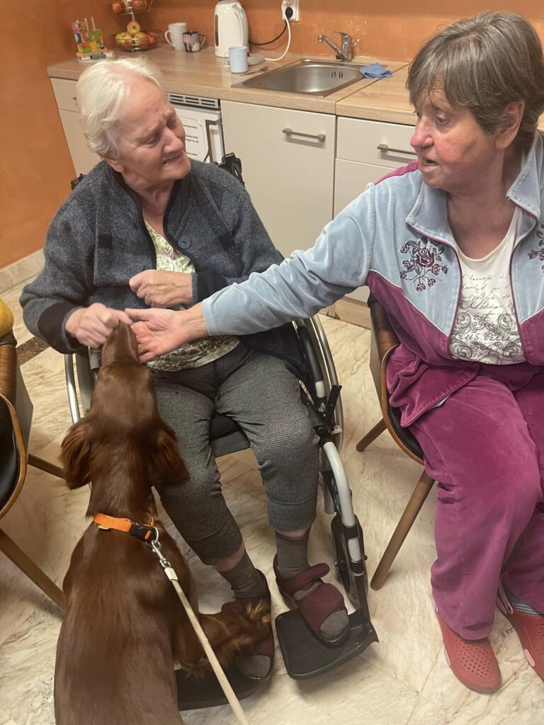 canisterapie domov pro seniory