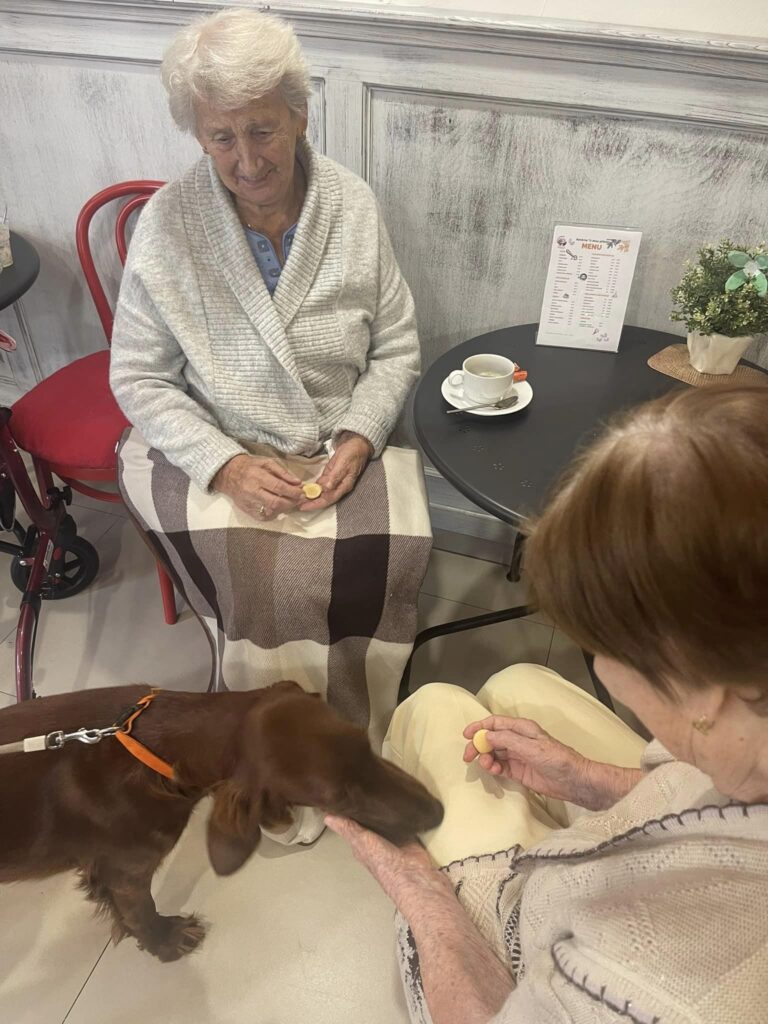 canisterapie domov pro seniory