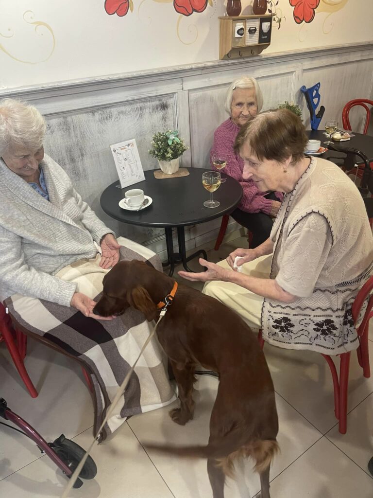 canisterapie domov pro seniory