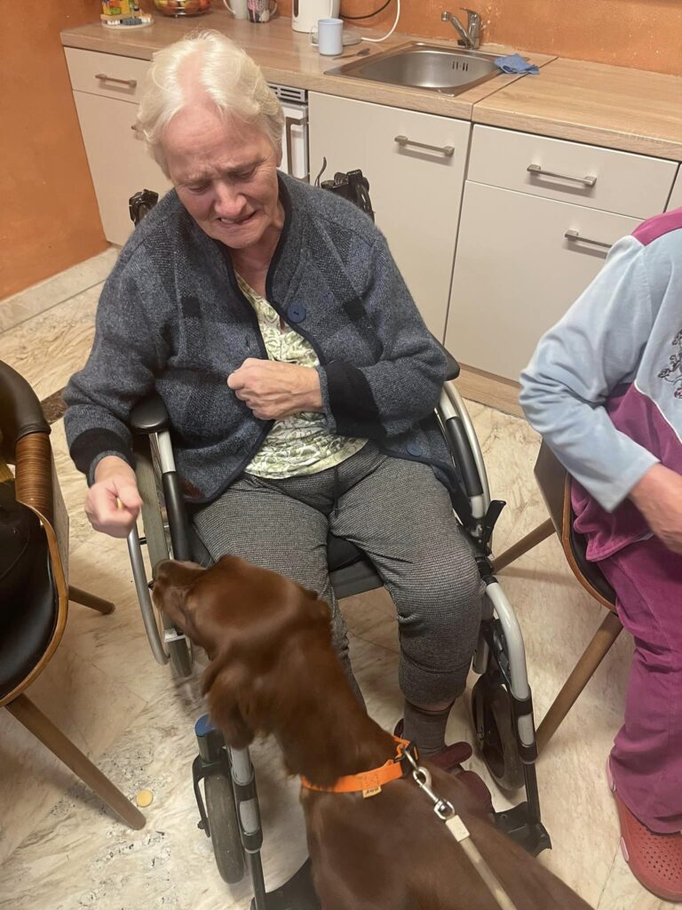 canisterapie domov pro seniory