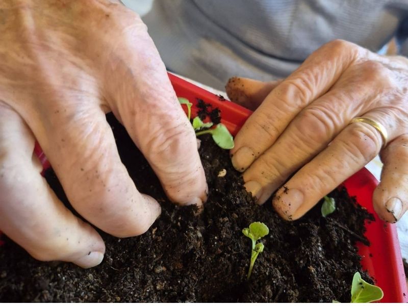 Die Arbeit mit Erde, das Pflanzen von Sträuchern oder die Pflege von Blumen bereitet nicht nur Freude am Ergebnis, sondern fördert auch die Feinmotorik, die Konzentration und das allgemeine psychische Wohlbefinden.